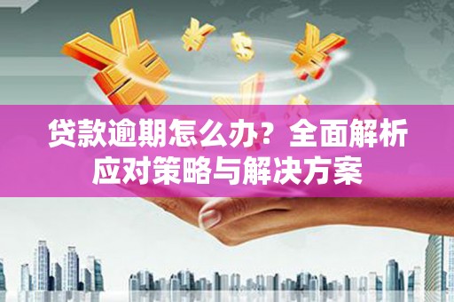 东安贷款逾期怎么办？全面解析应对策略与解决方案