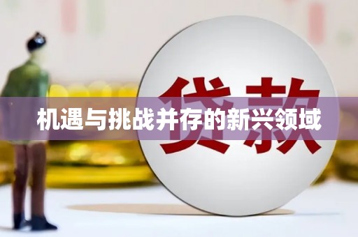 东安机遇与挑战并存的新兴领域