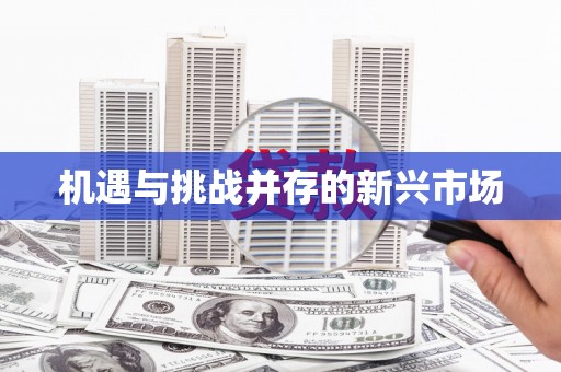 东安机遇与挑战并存的新兴市场