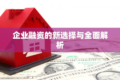 东安企业融资的新选择与全面解析