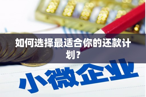 东安如何选择最适合你的还款计划？