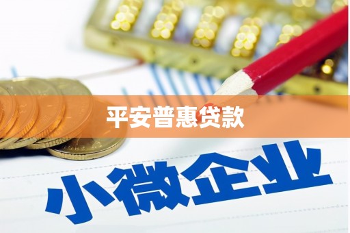 东安平安普惠贷款