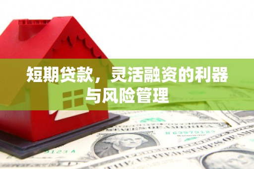 东安短期贷款，灵活融资的利器与风险管理