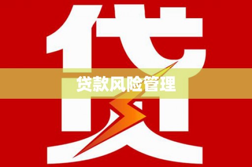 东安贷款风险管理