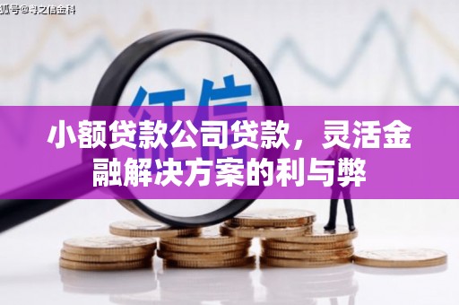 东安小额贷款公司贷款，灵活金融解决方案的利与弊