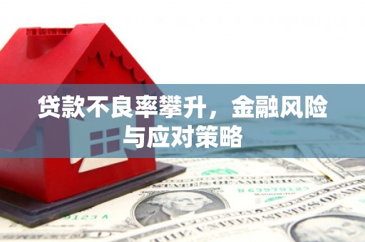 东安贷款不良率攀升，金融风险与应对策略
